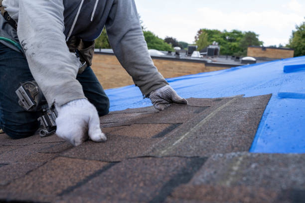 Roof Gutter Cleaning in Henryetta, OK