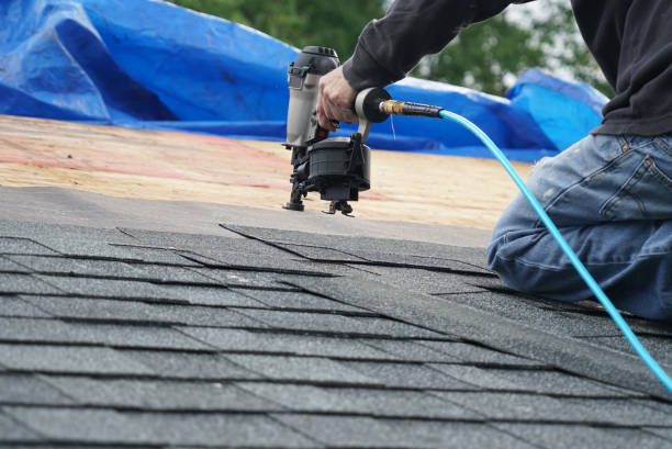 Best Roof Gutter Cleaning  in Henryetta, OK